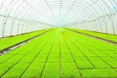 一文讀懂智慧農(nóng)業(yè) 行業(yè)機會、發(fā)展模式、場景應用與未來路線