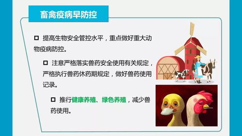疫情防控期間強化農(nóng)產(chǎn)品質(zhì)量安全監(jiān)管，嚴(yán)防禁用獸藥等風(fēng)險隱患